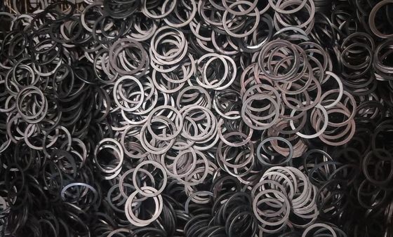 Rondella differenziale di rendimento elevato che annerisce alta resistenza all'usura di durezza